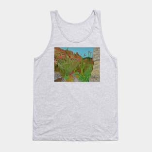 Pima Canyon in Tucson, Arizona, USA Tank Top